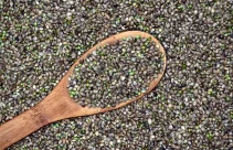 Nasiona Konopii