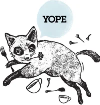 YOPE sp. z o.o. .