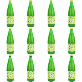 12 x Sok z Cytryn NFC Bio 1 l - Bio Planet