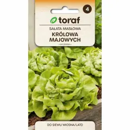 Sałata Masłowa KRÓLOWA MAJOWYCH Nasiona 2 g - Toraf