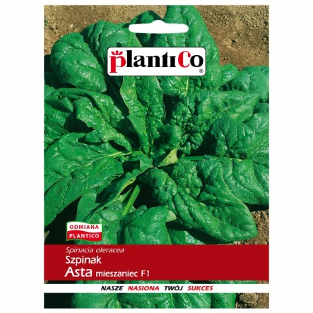 Szpinak Asta Mieszaniec F1 Nasiona 10 g - PlantiCo