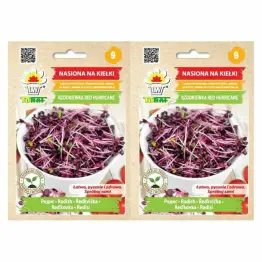 2 x Nasiona na Kiełki Rzodkiewka Red Hurricane 10 g - Toraf