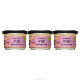 3 x Grzybek Scoby Starter do Kombuchy Bio 150 g - Delikatna.Bio (COLD)