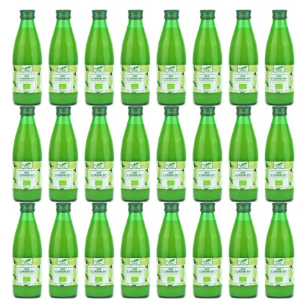 24 x Sok z Limonki Tłoczony NFC Bio 250 ml - Bio Planet