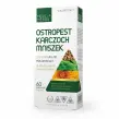 Ostropest Karczoch Mniszek 60 Kapsułek - Medica Herbs