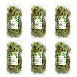 6 x Gojnik Herbatka Górska Bio 35 g - Batom