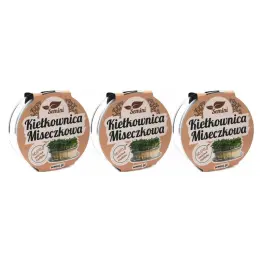 3 x Kiełkownica Szklana Miseczkowa +Nasiona na Kiełki Rzeżucha 10 g - Semini