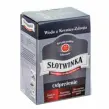Słotwinka - Karton 3 l - Woda Lecznicza - Krynica