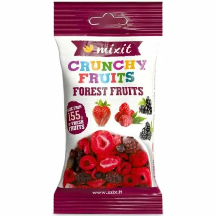 Chrupiąca Mieszanka Leśna do Kieszeni (Owoce Liofilizowane) 20 g - Mixit