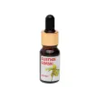 Glistnik Górski Ekstrakt 10 ml