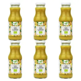 6 x Sok z Imbiru NFC Bio 250 ml - Bio Planet