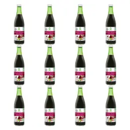 12 x Zakwas z Buraków Kiszonych Bio 500 ml - BioFood