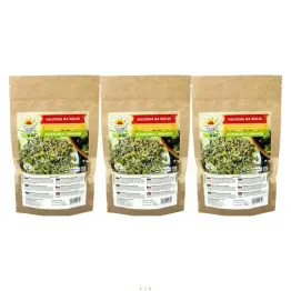 3 x Nasiona na Kiełki Rzodkiewka China Rose 100 g - Toraf