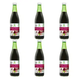 6 x Zakwas z Buraków Kiszonych Bio 500 ml - BioFood