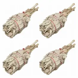 4 x Biała Szałwia Pęczek 15-20 g  Salvia Apiana