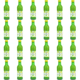 24 x Sok z Cytryn NFC Bio 250 ml - Bio Planet - Sok z Cytryny Eko