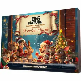 Kalendarz Adwentowy z 24 Różnymi Herbatami+ Zaparzaczem WSPÓLNE CHWILE 157,5 g - Big Nature