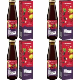Zestaw 4 x Napój Owocowo-Ziołowy z Żelazem i Witaminami 450 ml (poprzednia nazwa Bogactwo Żelaza Plus Witaminy) - Rabenhorst
