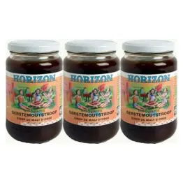 3 x Syrop ze Słodu Jęczmiennego Bio 450 g - Horizon