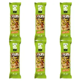 6 x BeRaw Baton Nuts and  Honey Pistachio 30 g - Purella