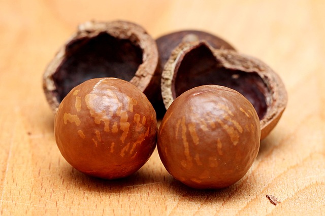 orzechy macadamia