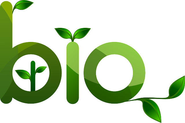 bio chrupki