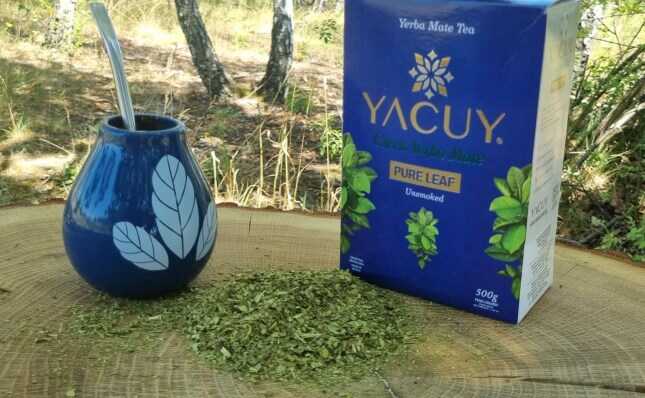 najlepsza yerba mate yacuy