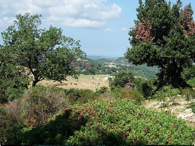 isolabio
