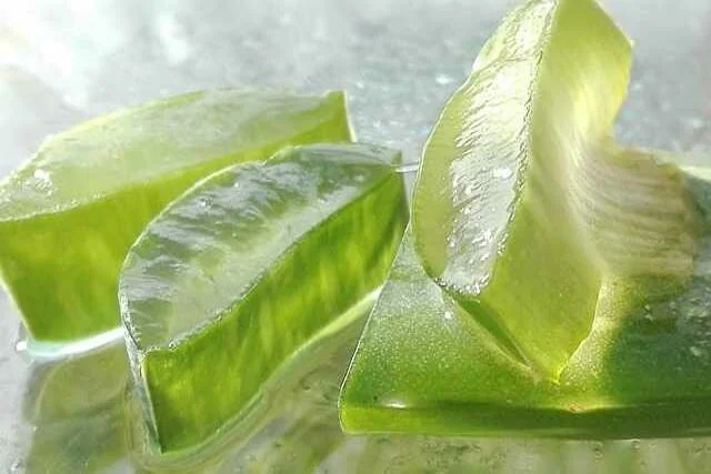 Lista Pytań o Aloes