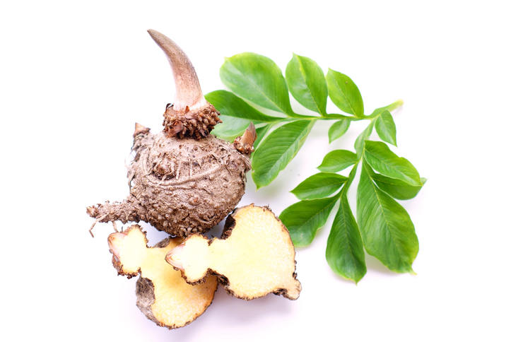 makaron konjac